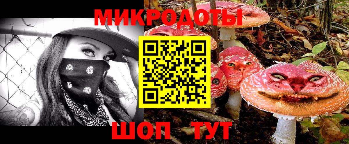 Электрогорск  Псилоцибиновые грибы Cubensis  Вход с VPN  Галлюциногенные грибы ЛСД 